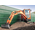 Мини-экскаватор DOOSAN DX35Z – фото 4