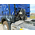 Тягач SITRAK C7H 6X4 540 МКПП УСИЛ. РЕССОРНЫЙ, G(М), 1400, 2Д – фото 4